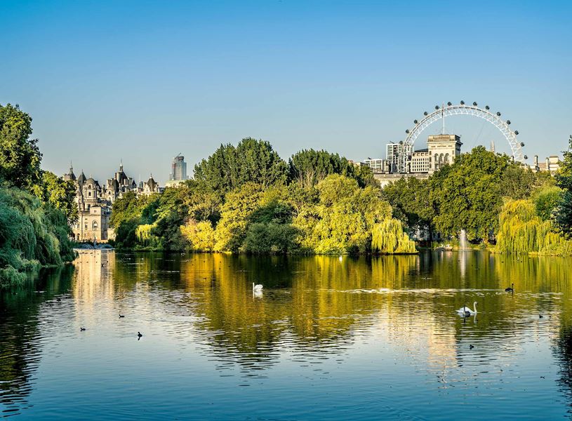 St. James's Park lake with swans and trees in London, England