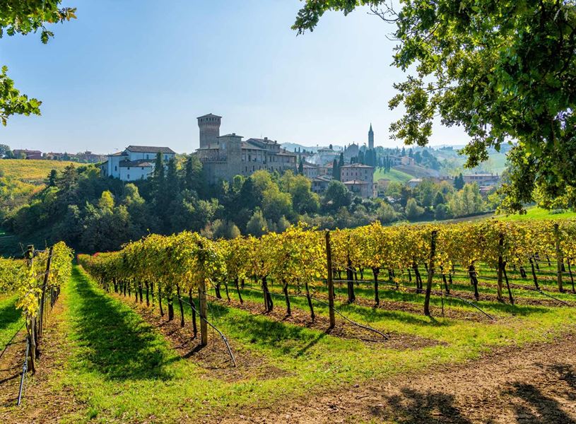 Levizzano Rangone castle overlooking vineyards in Emilia-Romagna countryside