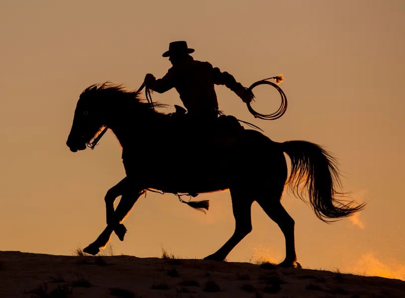 Cowboy and Horse riding at dusk, Cody, Wyoming, USA