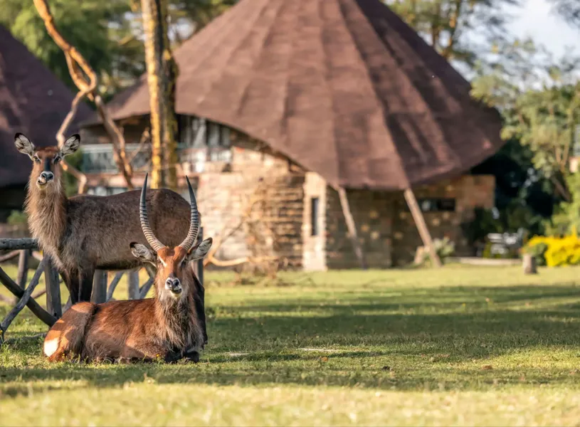 Rooms Exterior Sopa Lodge Lake Naivasha