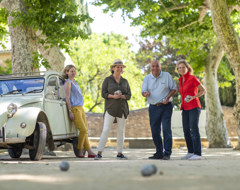 France Bowling Game Petanque Southern France Iv