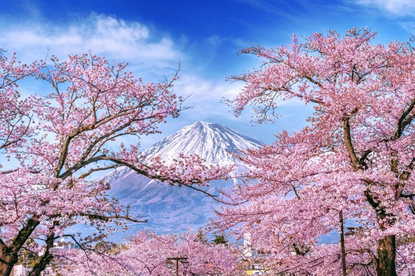 Wonders Of Japan SG
