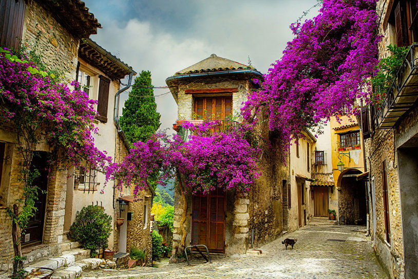 WONDERFUL FRANCE