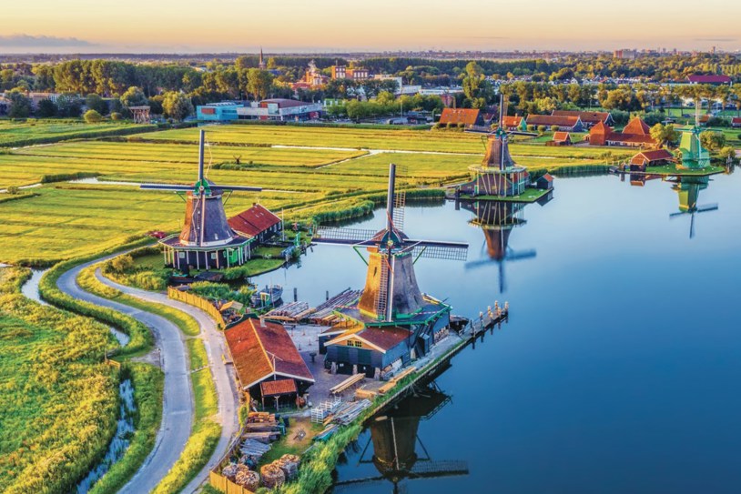 Tulips And Windmills