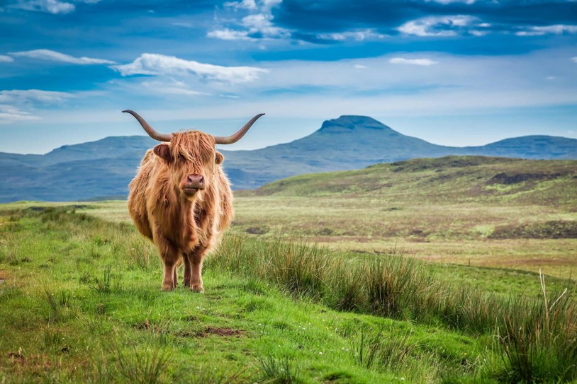 Britain Ireland Explorer Guided Tour 1