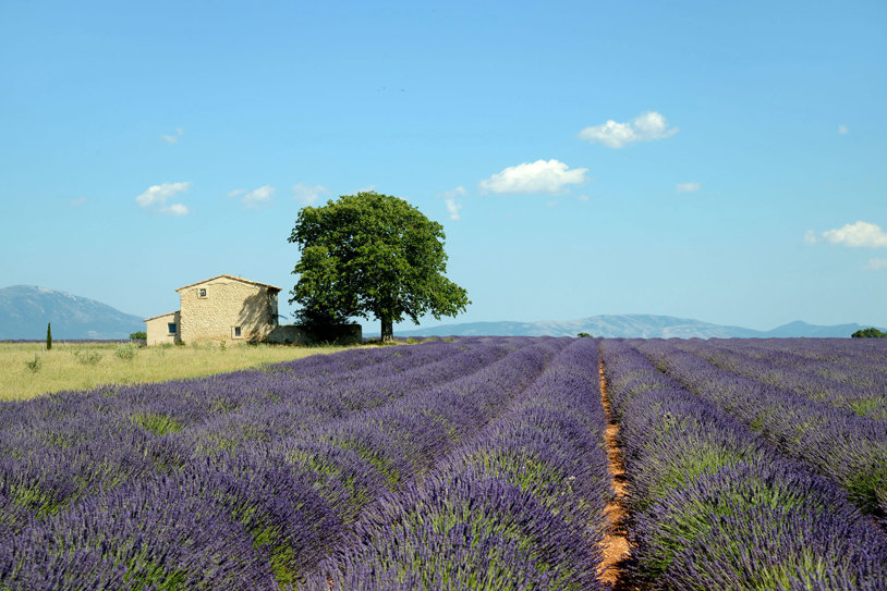 COUNTRY ROADS OF FRANCE