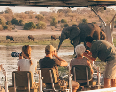 Africa Safari Wildlife Watering Hole Animals Elephants People Camera Photography Jeep 4X4 Tour Guided Expert Travel Advice