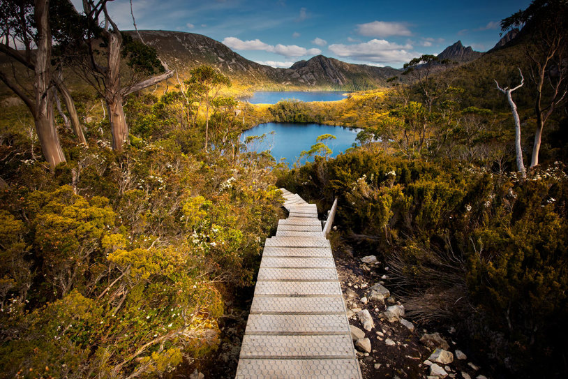 Perfect Tasmania (1)